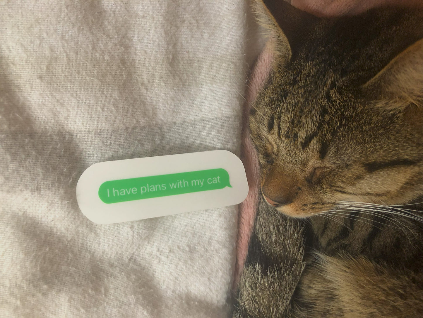 "I have plans with my cat" Text Message Sticker